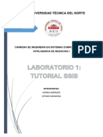 Proyecto SSIS