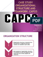 Organisational Structure and Teamwork-Capco