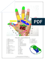 MAPAS MANOS Reflexologia PDF