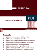 Histologie-Lp1 Epitelial