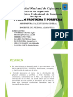 Pyllum Protozoa y Porifera - Grupo N 01 PDF