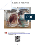 Diaphonization / Clearing and Staining Protocol