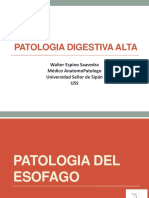 01.-Patologia Digestiva Alta Teoria