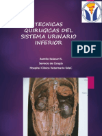 Tecnica Quirúrgicas Sistema Urinario.