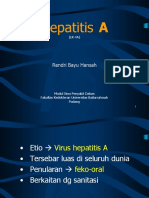 P 4a Hepatitis A