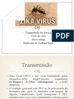 Zika Virus.pptx