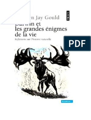 Enigmes Le Grand Jeu - Le Petit Caribou