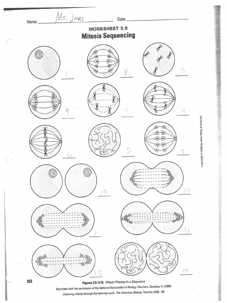1 | PDF