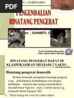Download 15  PENGENDALIAN BINATANG PENGERATpptx by yusi ardhi SN354737181 doc pdf