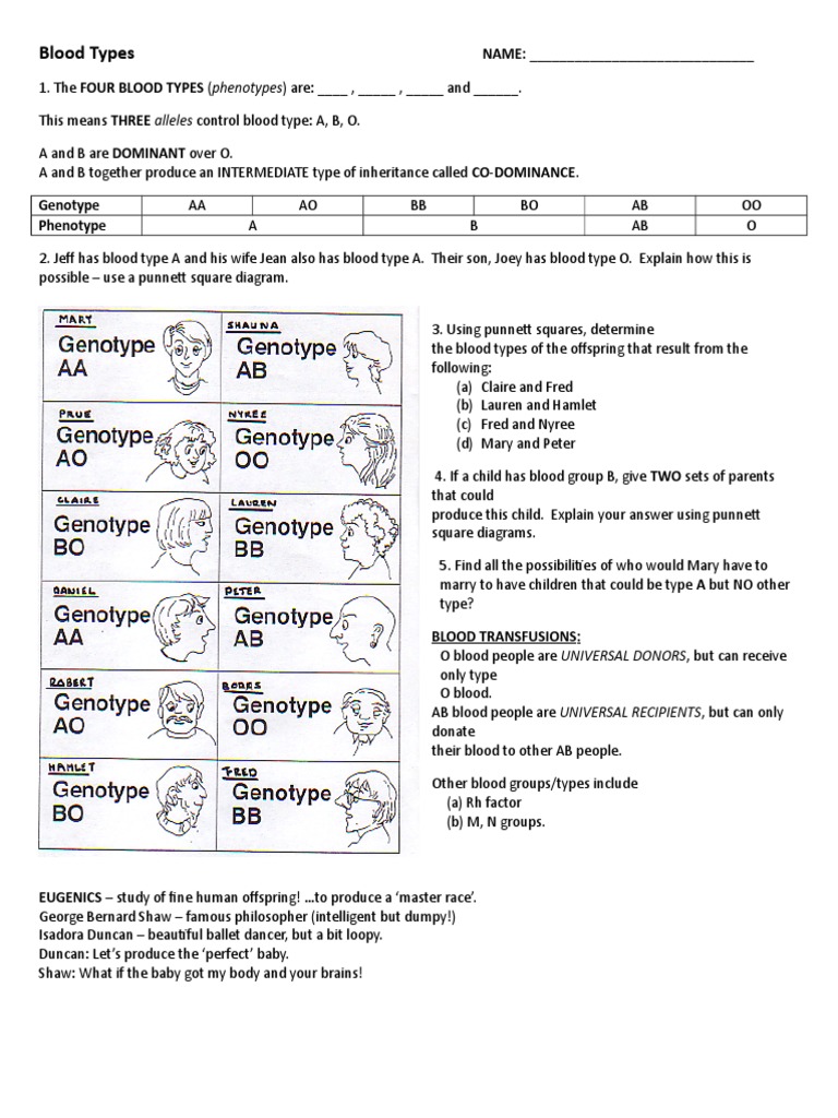 Blood Types Worksheet  Blood Type  Serology With Regard To Blood Type And Inheritance Worksheet