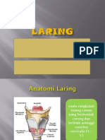 Anatomi Laring