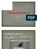 c5 Fziologia-Analizatorilor