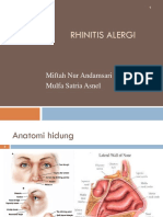 Rhinitis Alergi