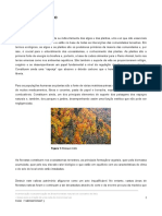 flora.pdf