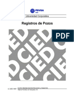 Manual Registros de Pozos.pdf