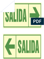 SEÑALES DE SALIDA HORIZONTAL.docx