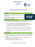 CURSO-OPERADOR-DE-PUENTE-GRUAS-04-01-13.pdf