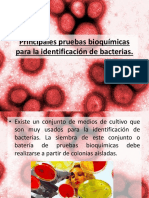 Principales Pruebas Bioqumicas para La Identificacion de Bacterias