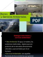 bienesyserviciosambientales-121202191041-phpapp01.pptx