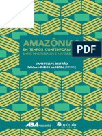 Amazonias em Tempos Contemporaneos Entre Diversidades e Adversidades