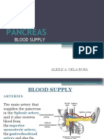 Pancreas Blood Supply