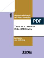 Principios y Valores de La Democracia
