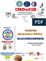Gluconeogenesis Emdocib
