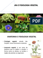 Anatomia e Histologia Vegetal