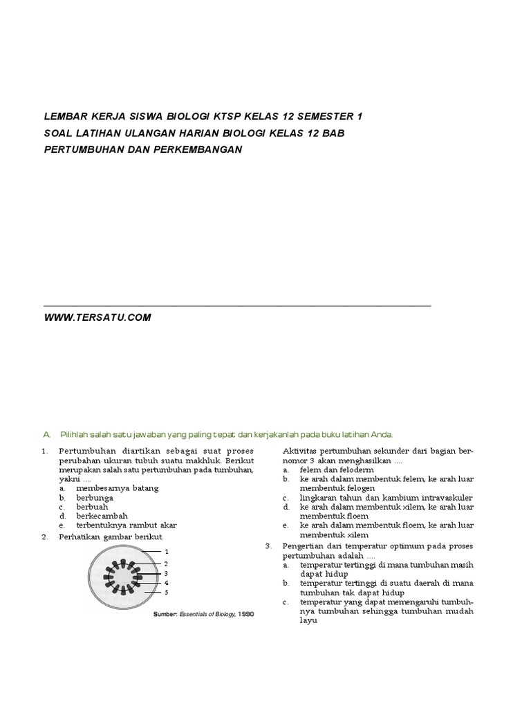 Soal Uh Biologi Kelas 12 Bab Pertumbuhan Dan Perkembangan