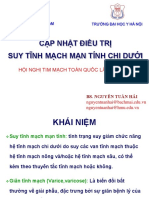 A2 - 9 - Suy Tinh Mach Chi Duoi - Hoi Nghi TM Toan Quoc