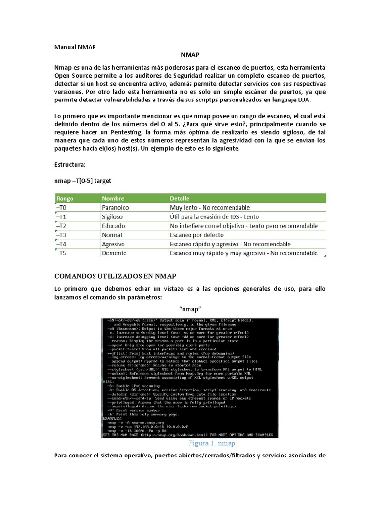 Manual Nmap | PDF | Protocolos de capa de red | Arquitectura de ...