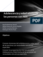 Adolescencia y Edad Adulta de Las Personas Con NEE