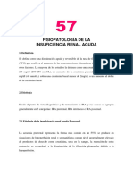 Irene. Fisiopatología de La Insuficiencia Renal Aguda.