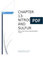 P1 Chapter 13 Nitrogen and Sulfur.docx