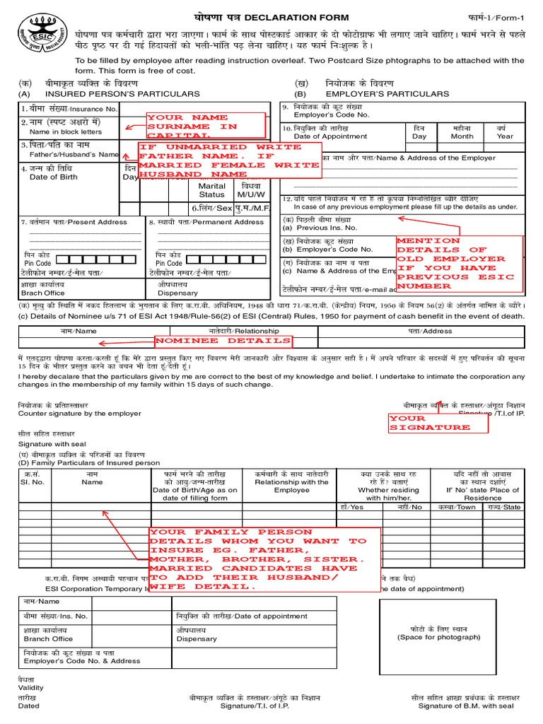 Esic Declaration Form 1 In Word Format