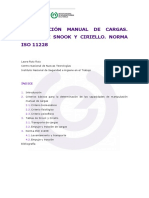 SyC_ISO 11228.pdf