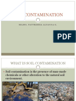 Soil Contamination: Selmo, Pattrishia Alyanna G