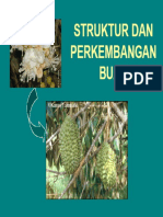 Struktur Dan Perkembangan Buah 031014 PDF