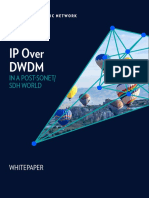 Eci Ip Over DWDM White Paper