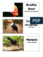 Dominó Parque Das Aves