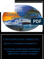 Contaminación ambiental