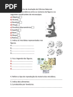 Ficha de Trabalho/Avaliação de Ciências Naturais  6ºAno