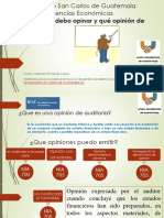 archivos-Opiniones de Auditoria.pdf