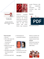 Leaflet Thalasemia