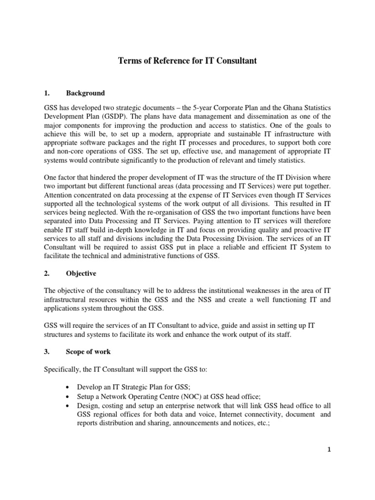 TOR IT Consultant | PDF | Employment | Computing