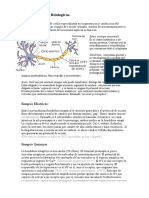 Fisiologia - Neurofisiologia I - Sinapsis; señales fisiologicas.doc
