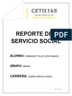 Reporte Del Servicio Social