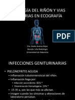 Patologia Del Riñon y Vias Urinarias en Ecografia