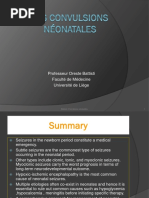 battisti_nnconvulsions_en.ppt