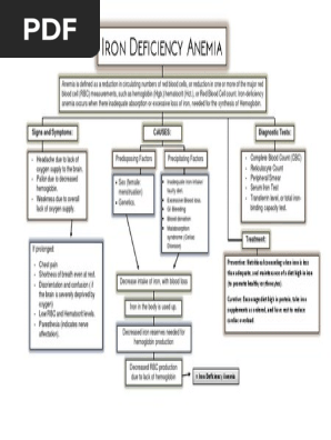 Anemia Concept Map Pdf Anemia Red Blood Cell